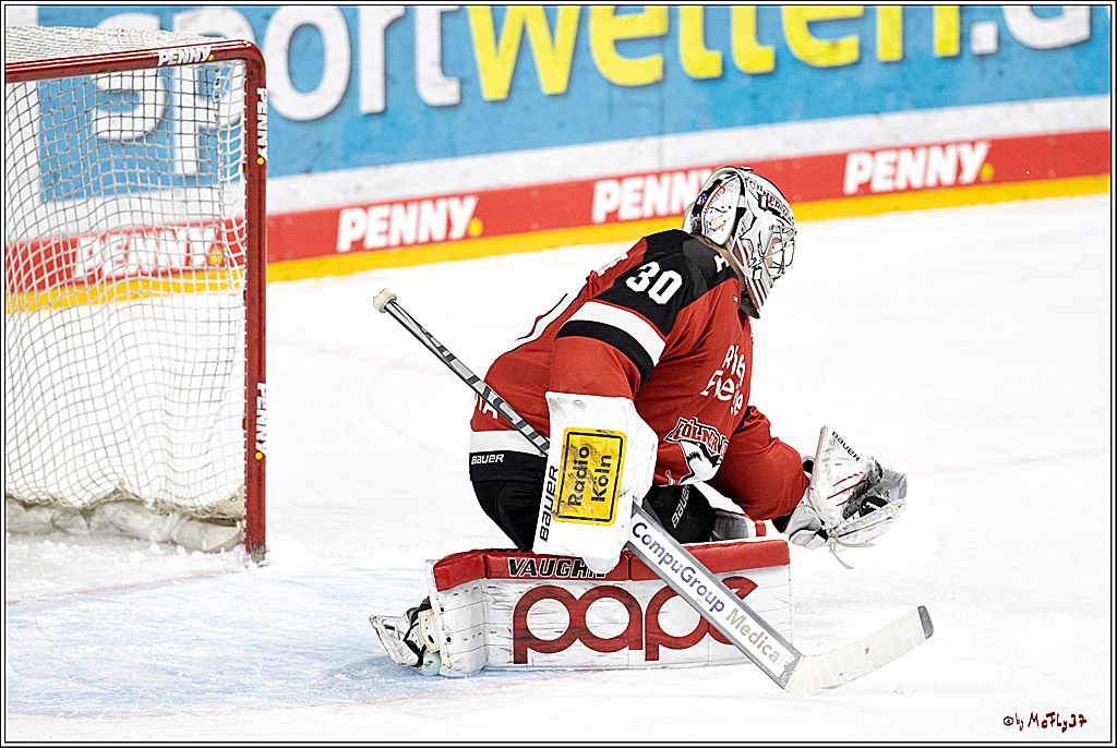 PENNY DEL;  Koelner Haie - Fischtown Pinguins Bremerhaven; Koeln, 03.01.2022